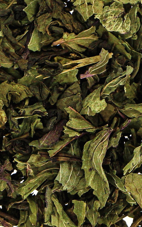 N°10 – Thé vert BIO – Menthe poivrée