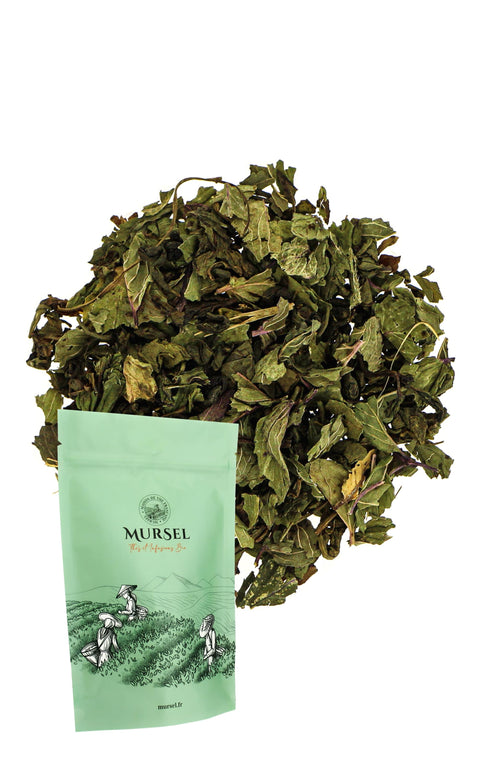 N°10 – Thé vert BIO – Menthe poivrée