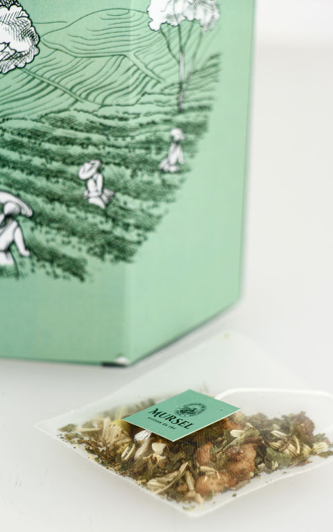 Duo découverte – 2 coffrets de 10 infusettes surprises