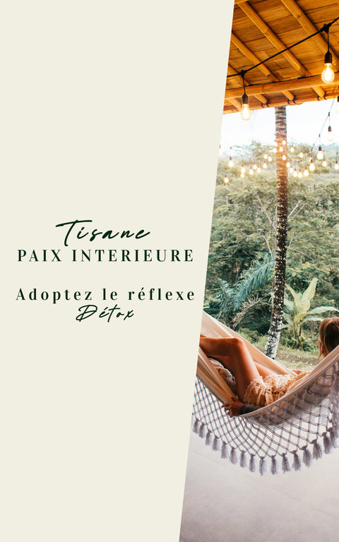 N°6 – Tisane BIO – Paix intérieure